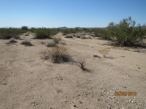 Lot 36A& Douglas Ln: Douglas Ln, Yucca, AZ 86438